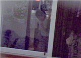 ����ͷ��¼���Ǳ�ķ���о�(������1372)