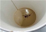 �����ǰͿ˱��غȳ������(������1626)