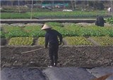 �����յ��磬���κ�����(������654)