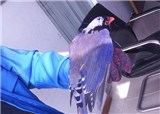 �²�����ʲô��(������657)