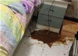 ����ˮ���䱬�˵�����(������741)