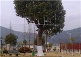 ����ʯС��ʯ�Ž������Ǯ(������716)