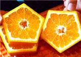 �ձ�ũ������������γ���(������251)