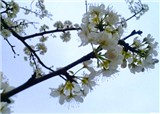 �彭�������ïʱ�����Ѵ����ͻ����;����ͻ���(������57)