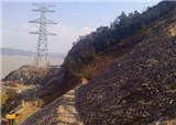���������һ����Ѿ�û���һ����Կ������ڵĵ������ǿ�(������517)