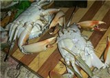 �˳��������ϰ��������(������532)