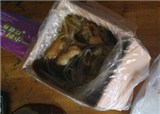 û���ֻ�ý�����(������388)