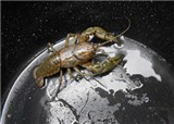 �ĳ�������ƻô�Ƭ�ĸо� (������469)