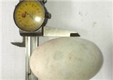 ����Ѽ������أ��ɶ��ĸ�(������315)