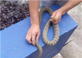 �˻��߳����ˣ�������(������678)