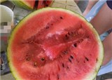 9ëǮһ���������������(������542)