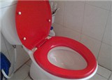 ���Ѽҵ���Ͱ��ɫ��(������337)
