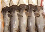 ��Щ��Ķ��������Եģ�(������1220)