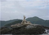 �쿴��ǰ���������㣡(������292)