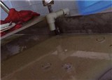 �ҿ����������;�ʮ���Ļ(������416)