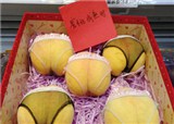 �����ڿ�����ӡ�17.8Ԫһ��(������371)