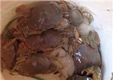 �º���Ϳ���ջ񲻴��ɣ�(������452)