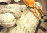 ���Ŵ����148��󶬹�(������640)
