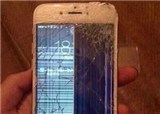 Iphone6�����ͽݱ�(������482)