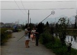 ������Ա�ں��ŷǷ�����(������746)