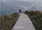 ���հ���ɽ������(������421)