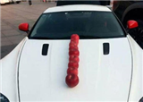 ������Ůǧ���������ƻ��(������323)