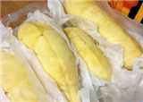 �ֵ��˴�ڳ������ļ���(������551)