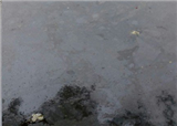 С��ʯ��ˮ��Ǯ�׻���(������572)