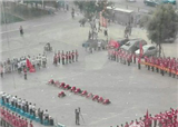 ������ͷԱ���������쵼(������273)
