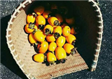����һ�����(������198)