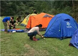 ��ĩ�ҵ���Ӫ�����Ƽ���(������349)