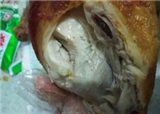 �Լ��Գ���ɫ�Ĵ�����(������501)