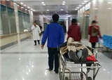 �����Ű��²�С��ײ�˺�...(������498)