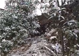 ���Ű���ɽ��ѩ����(������427)