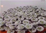 ���Ÿ��ش���Ϸ��������(������362)