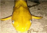 �������ӵ������㡱(������467)