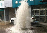 �������н֡���Ȫ��(������301)