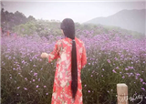 ܽ�ؽ��񽧣�������(������548)