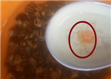 ��������ݳ�����(������354)
