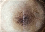 ��һ���������ۡ�(������341)