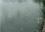 �Ϫ������700������ʬ��(������334)