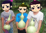 �뵱��«���д���(������260)