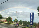 �������ʺ�(������203)