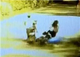��Ů���޹��߷�������Σ(������352)