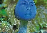 һҹ֮��