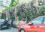 ����һС����ǽ��(������1322)