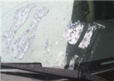 ���������������(������1199)