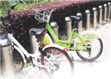 ���干��������Ͷ��(������876)