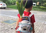 ��ѧ��һ�����С�к�����(������1154)