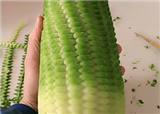 �����ˣ��ܲ�һ�������(������895)